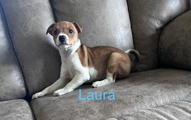 Laura thumbnail 2