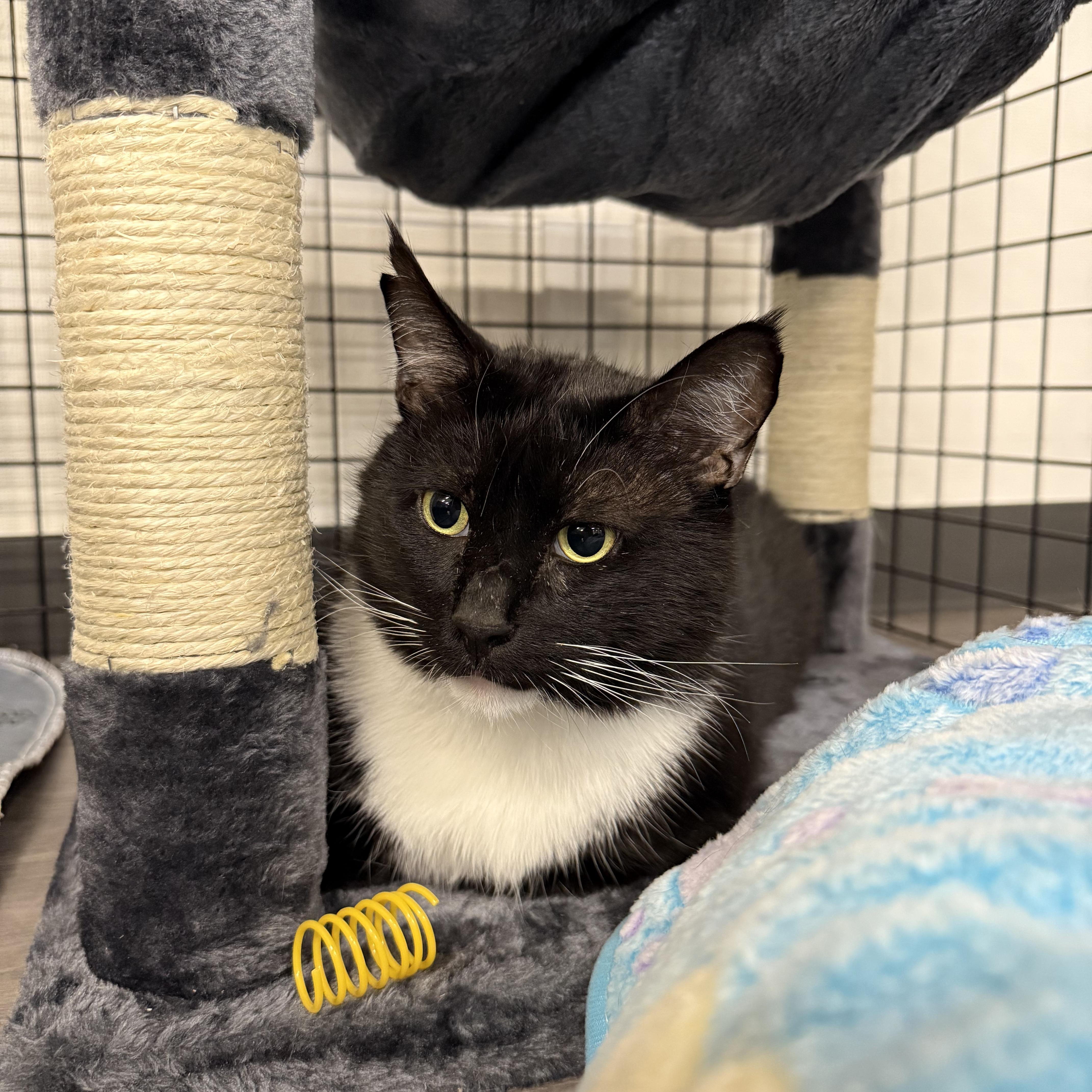 Jeremy Scoots thumbnail 2