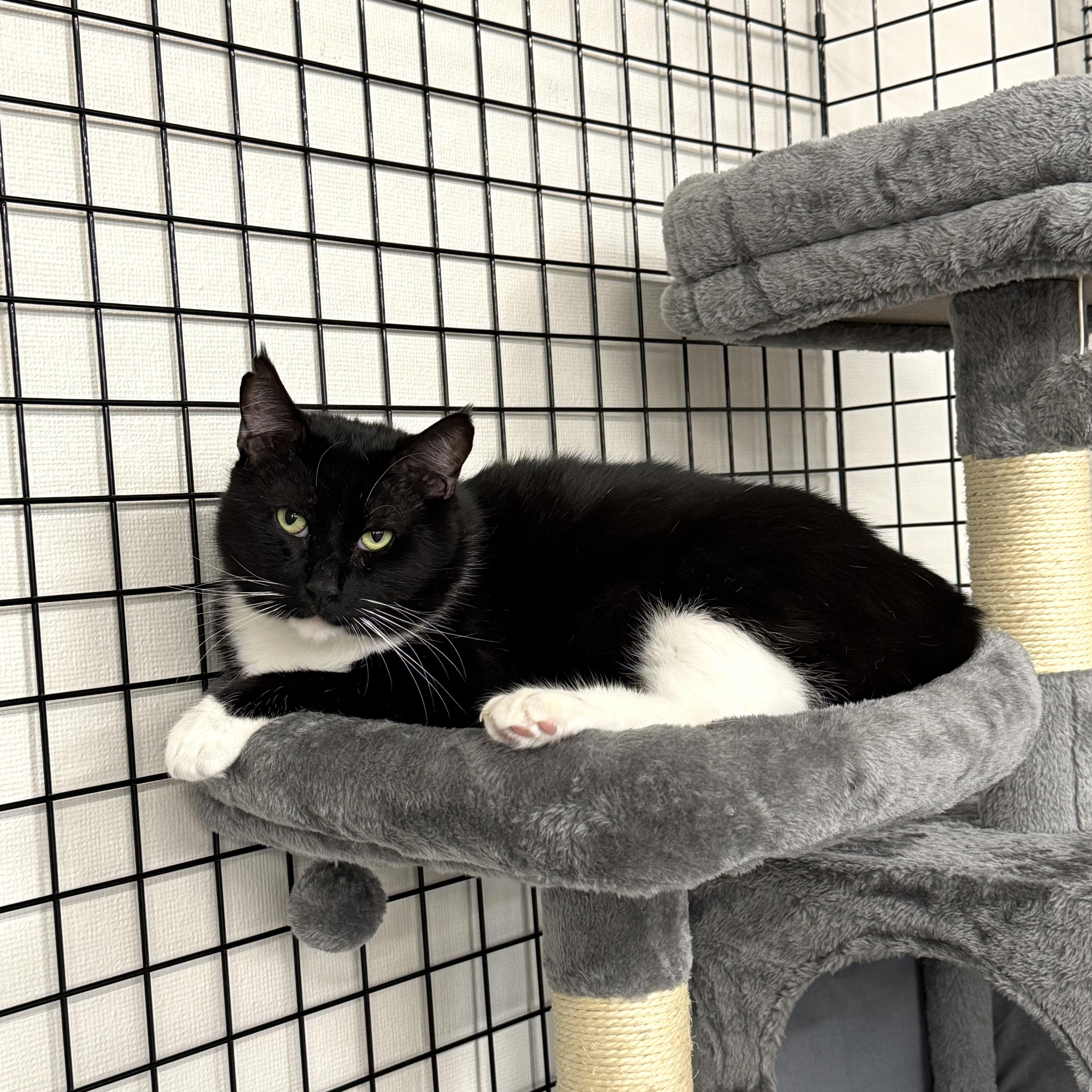 Jeremy Scoots thumbnail 3