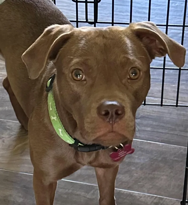 Sapphire thumbnail 3