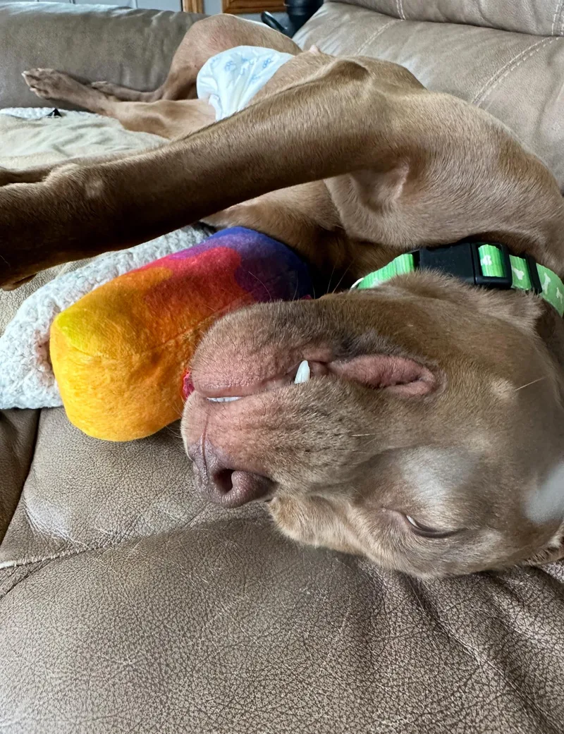 Sapphire thumbnail 6