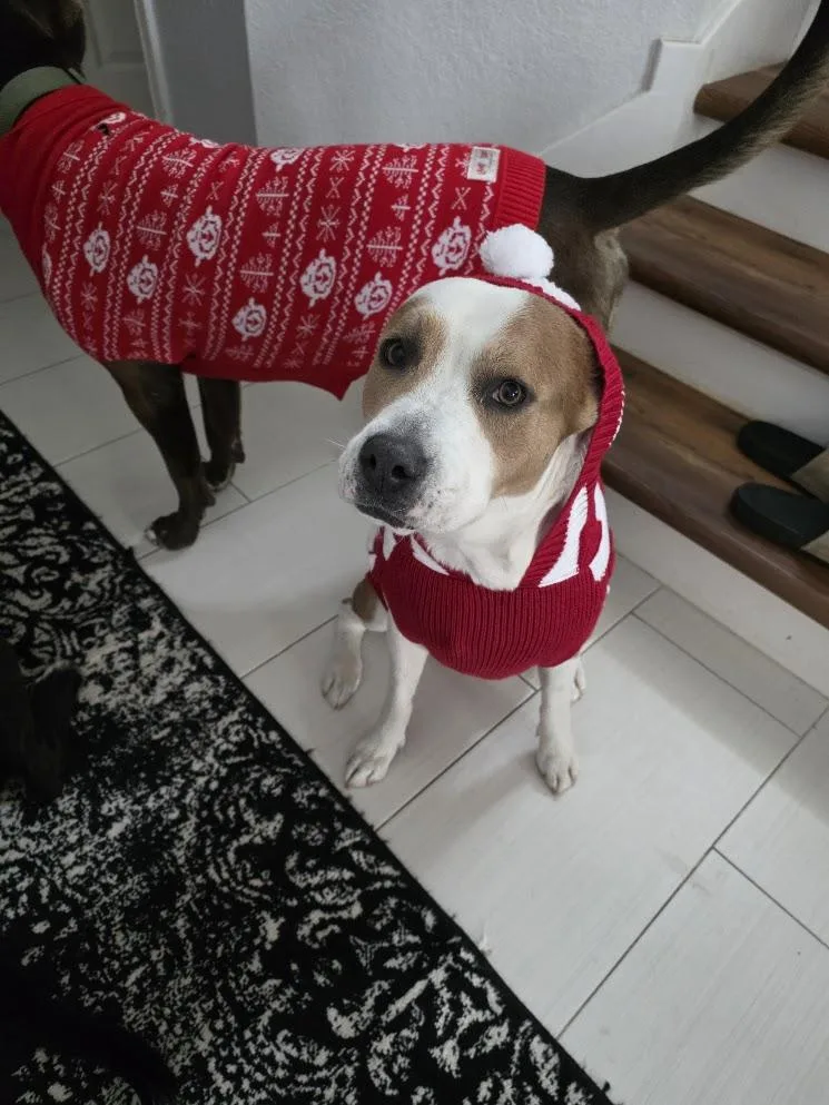 Princessa Smg thumbnail 2