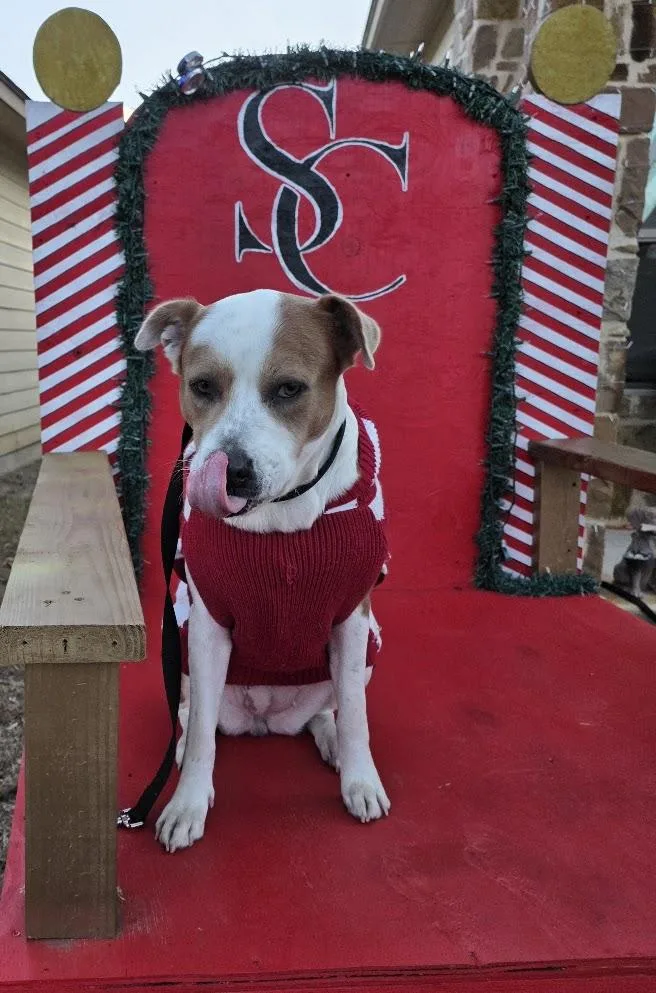 Princessa Smg thumbnail 3