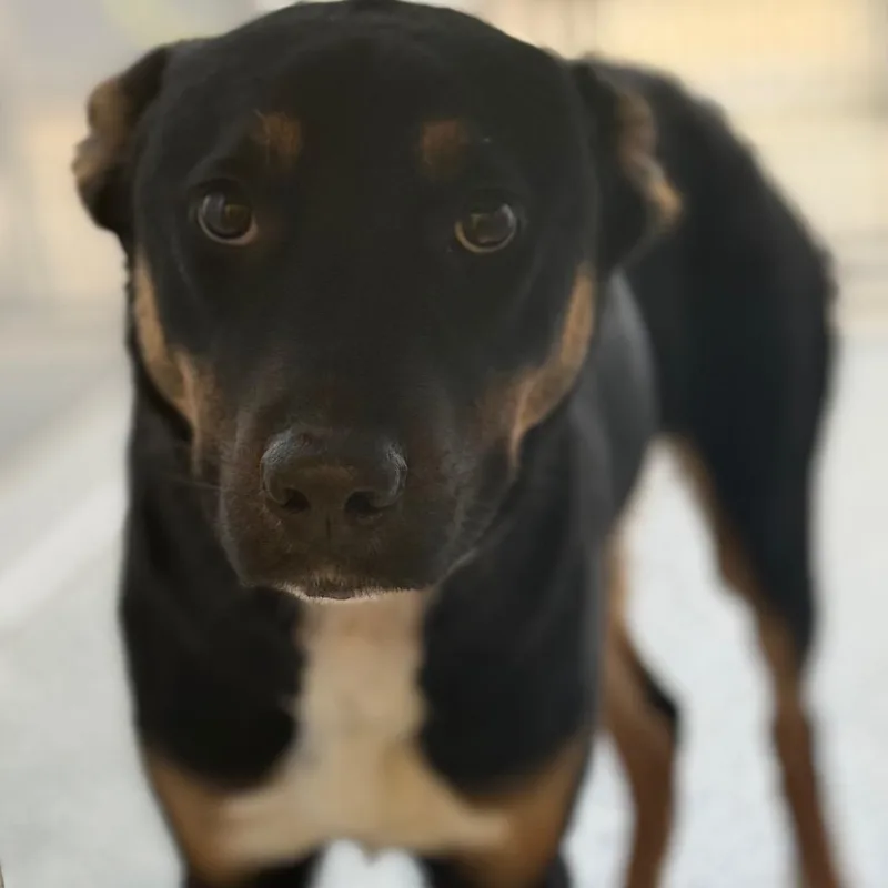 Washington thumbnail 3