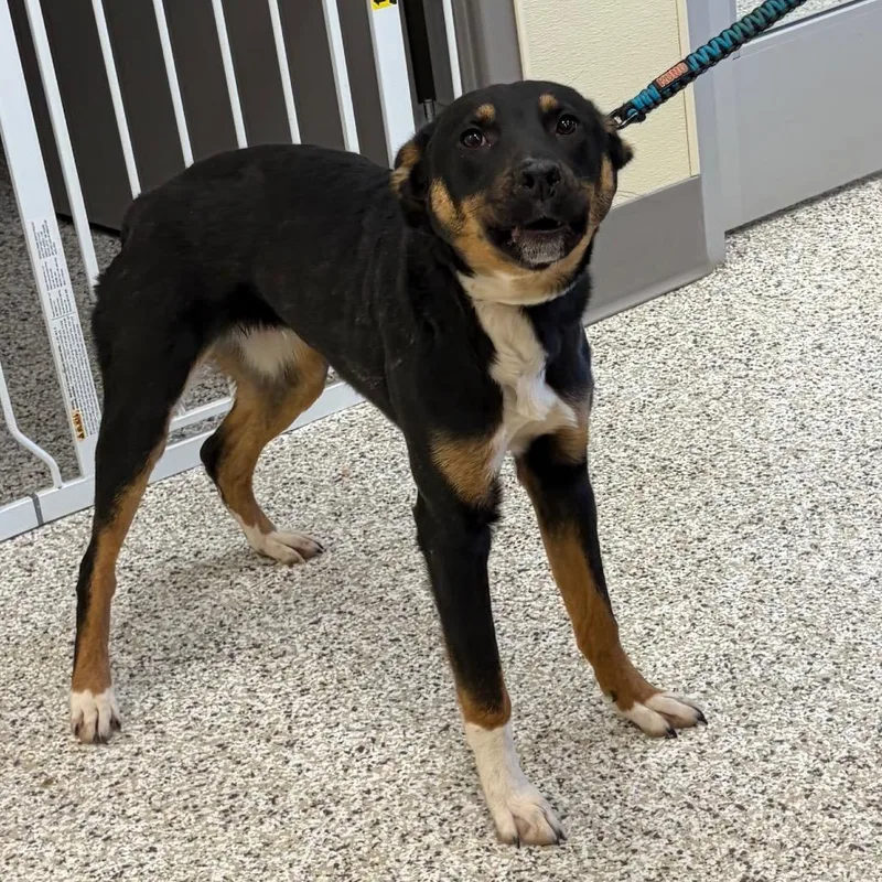 Washington thumbnail 5