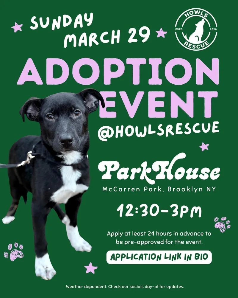 Mayonnaise thumbnail 5