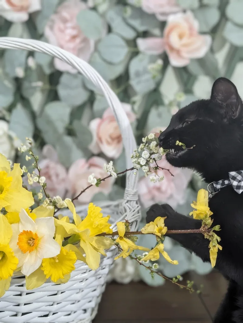 Jingle Bell thumbnail 2