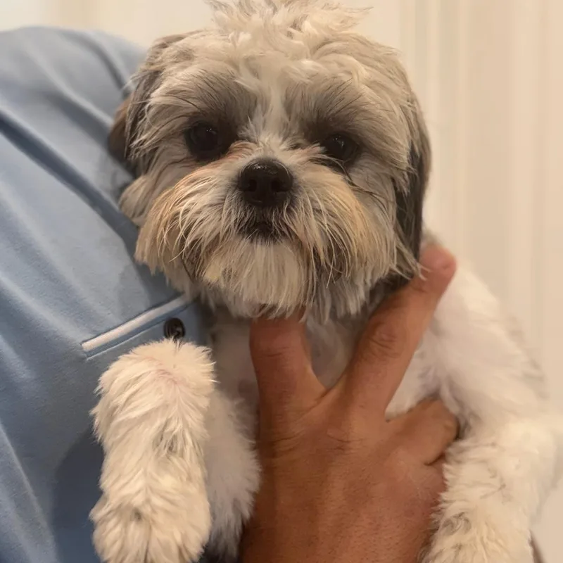 Ms. Gorgeous Lili thumbnail 2