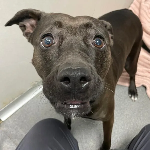 November thumbnail 2