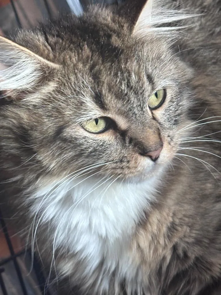 Turtle aka Raisin thumbnail 2