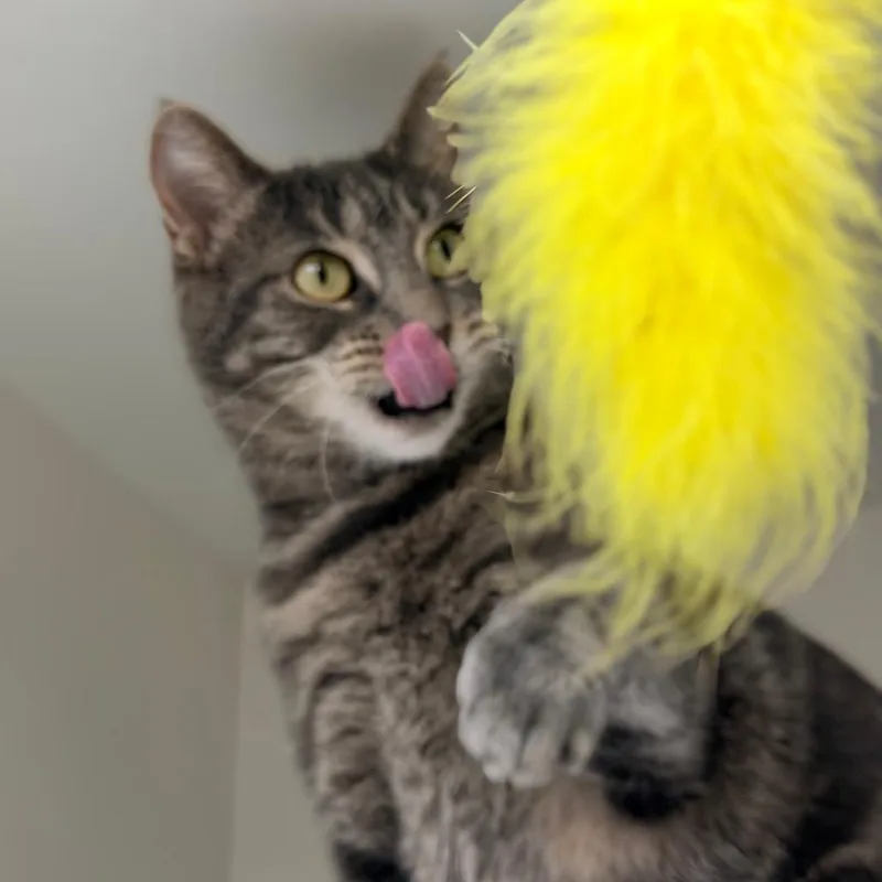 Philomena Cunk thumbnail 5