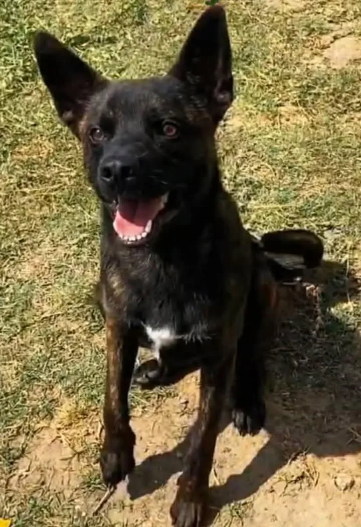 Reynaldo
