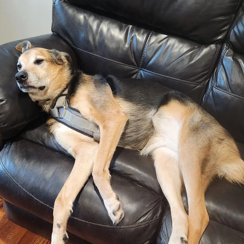 Lovely Lady Lumps thumbnail 2