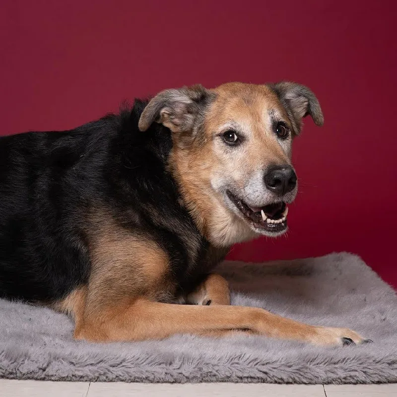 Lovely Lady Lumps thumbnail 3