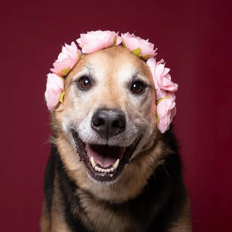 Lovely Lady Lumps thumbnail 4