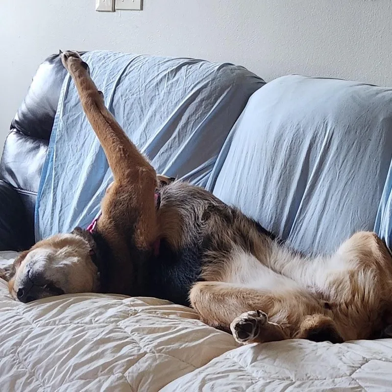 Lovely Lady Lumps thumbnail 5