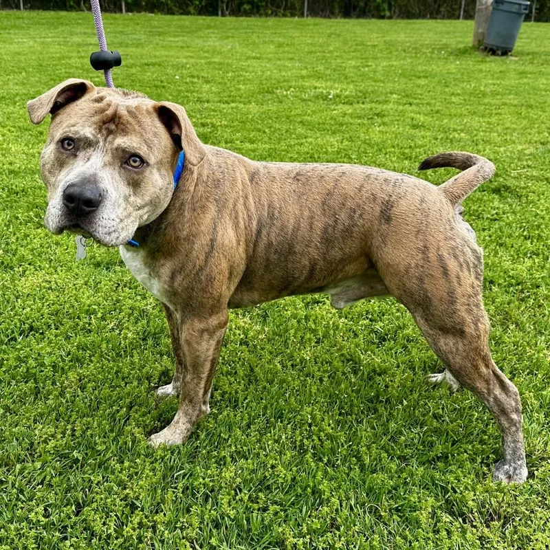 Thunderstruck thumbnail 2