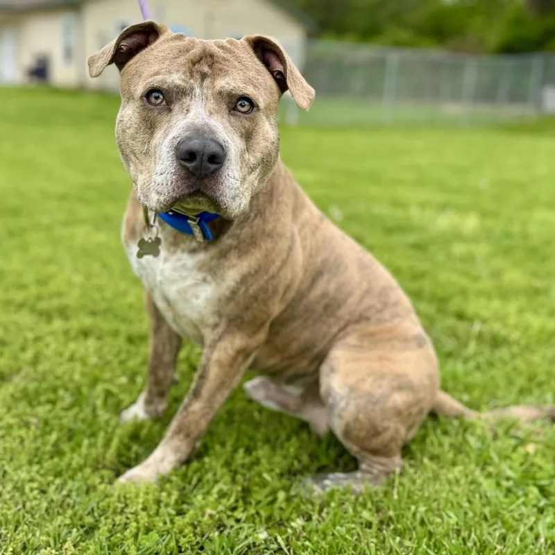 Thunderstruck thumbnail 3