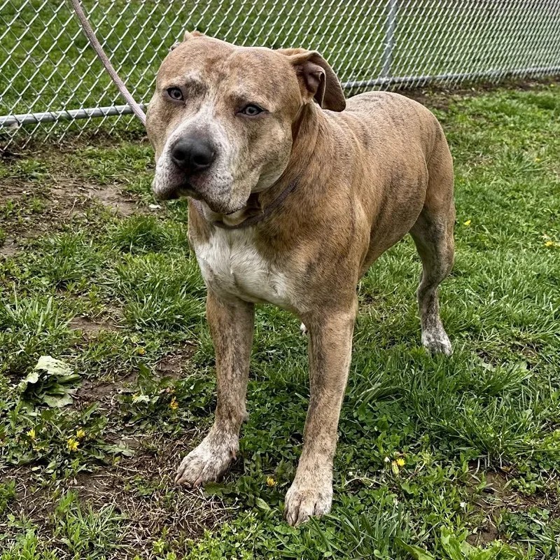 Thunderstruck thumbnail 4