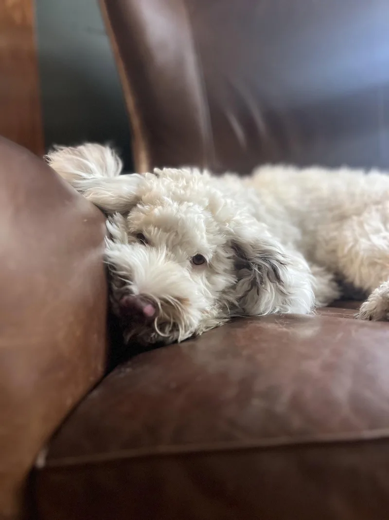 Benny