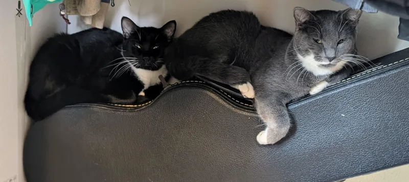 Junior and Granite thumbnail 3