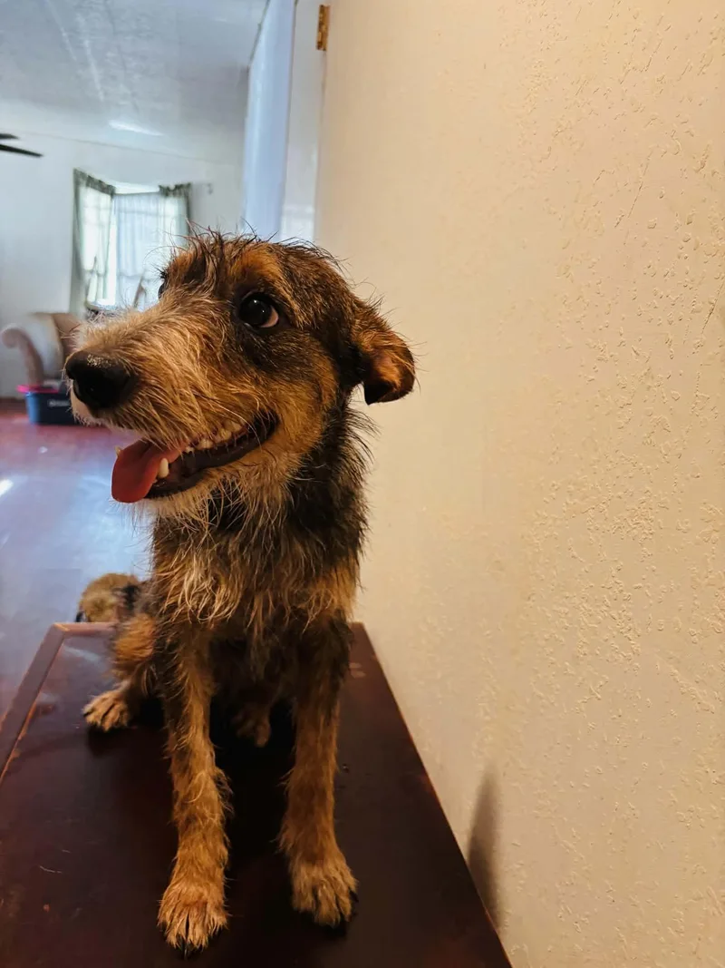 Sammy