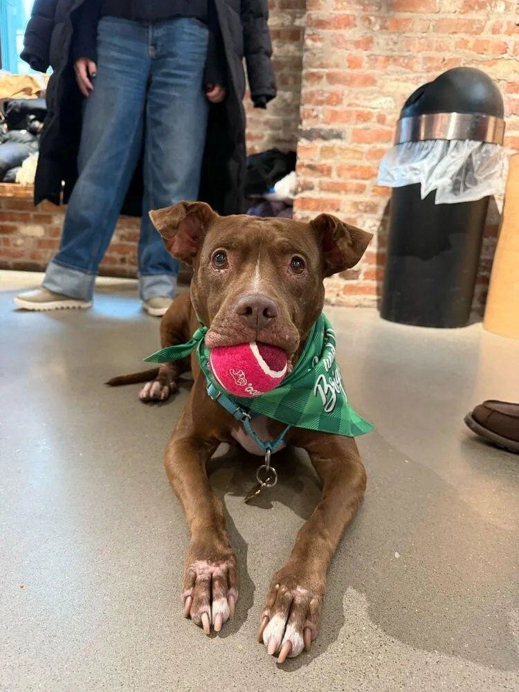 Tourmaline thumbnail 2