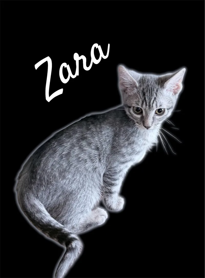 Zara