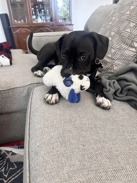 Java