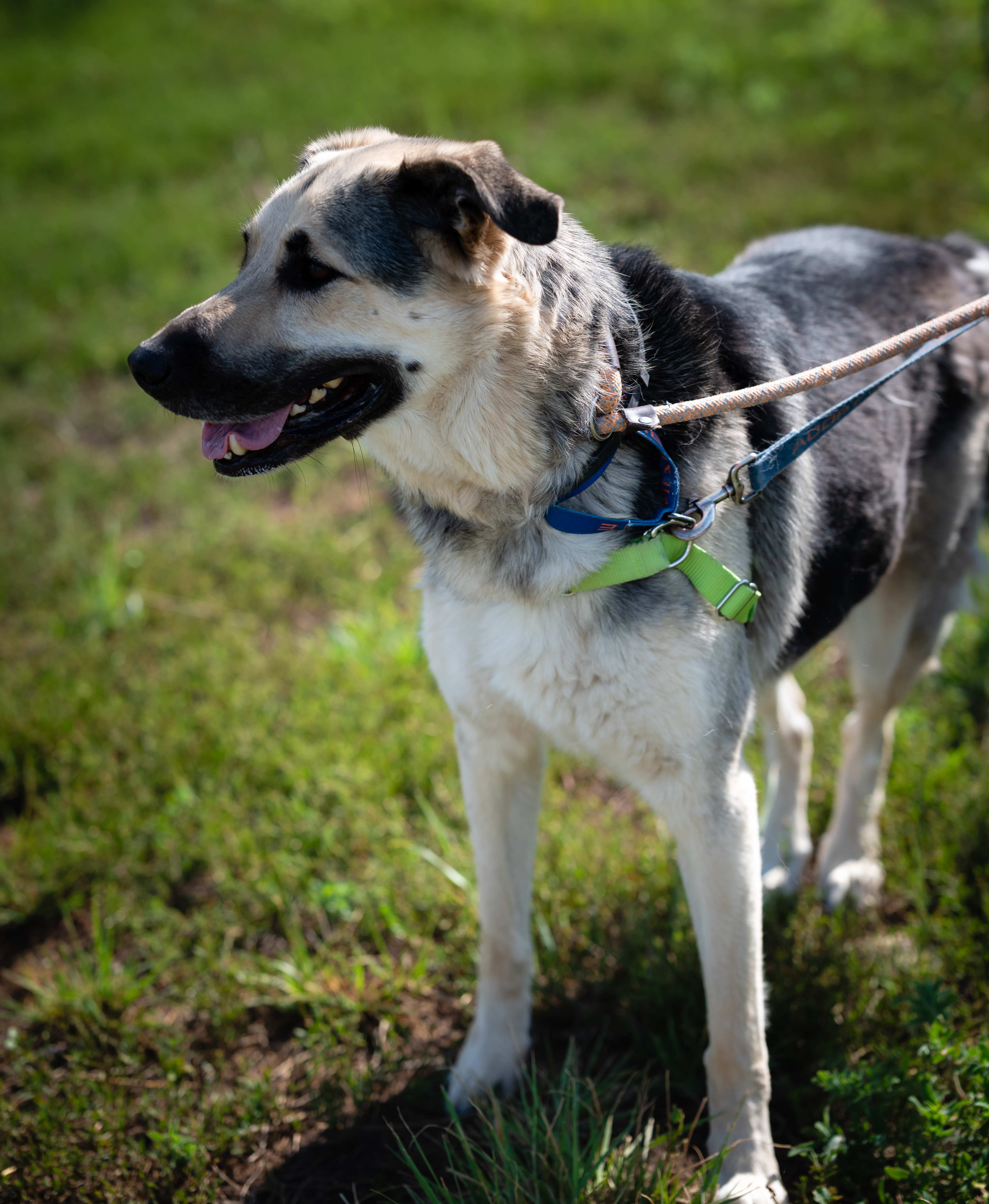 Nalaand Poebonded thumbnail 4