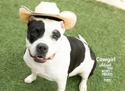 Cowgirl thumbnail 2