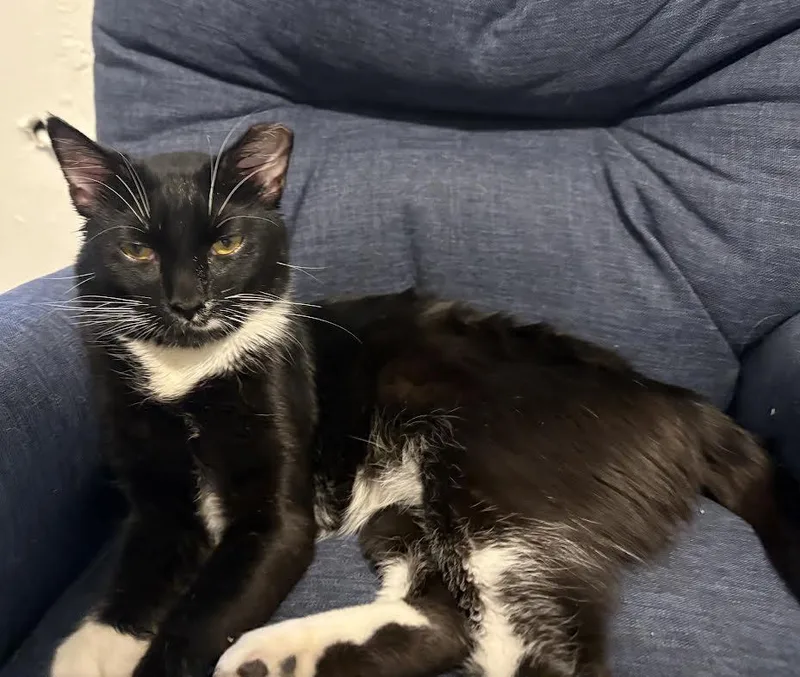 Milo