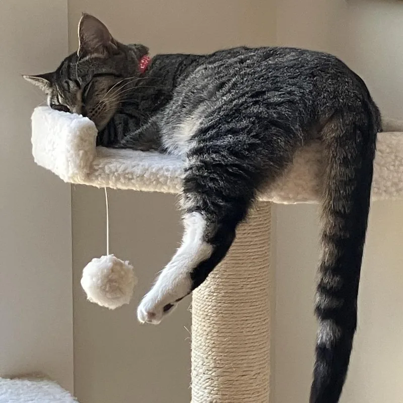 L&b: Brooklyn thumbnail 2