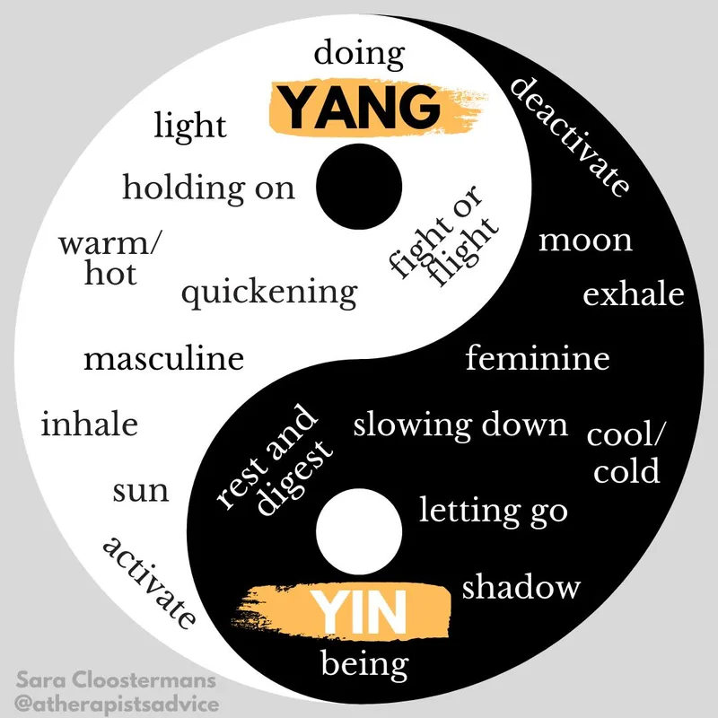 Ying & Yang thumbnail 5
