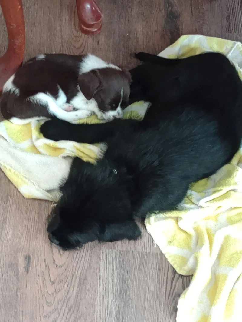 Lena thumbnail 2