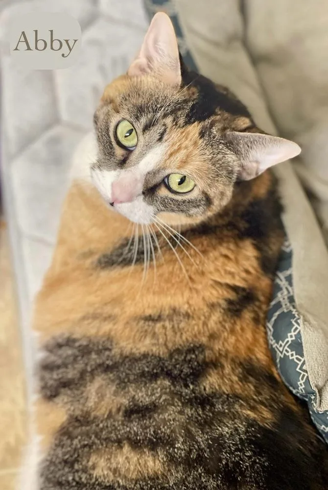 Abby thumbnail 3