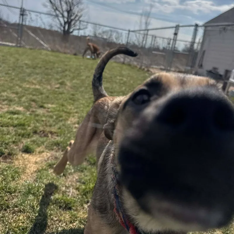 Nadya Lady thumbnail 2