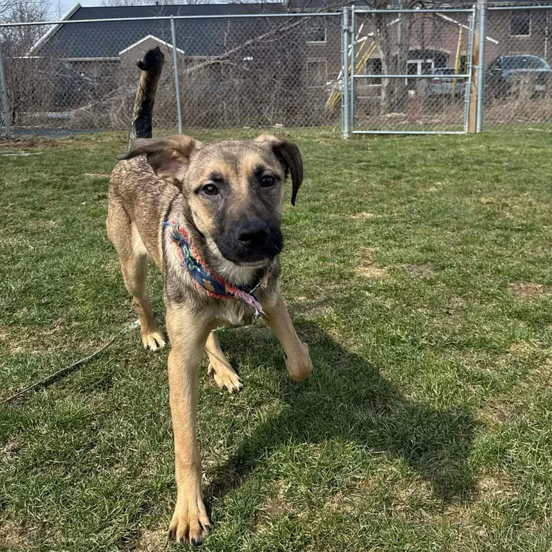 Nadya Lady thumbnail 3