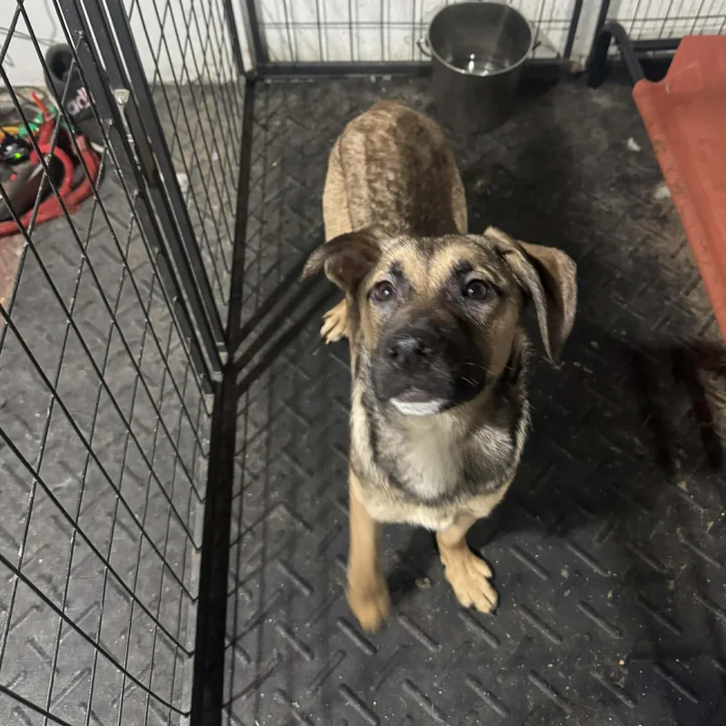 Nadya Lady thumbnail 4