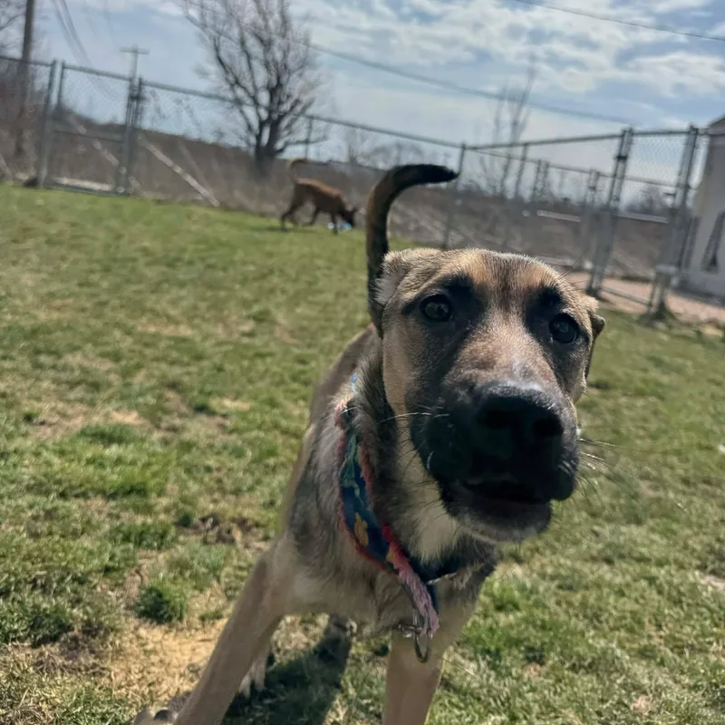 Nadya Lady thumbnail 5