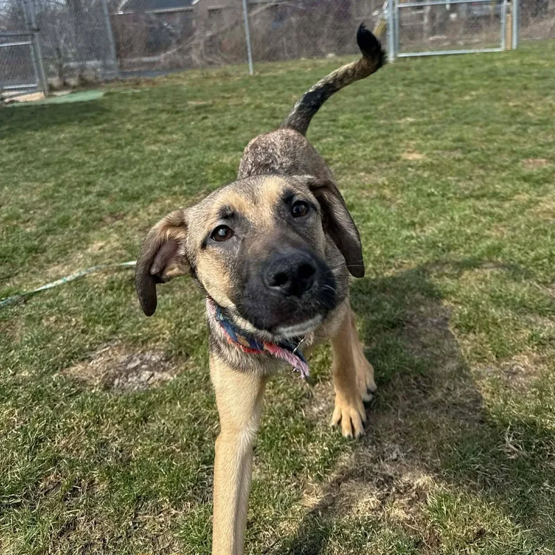 Nadya Lady thumbnail 6