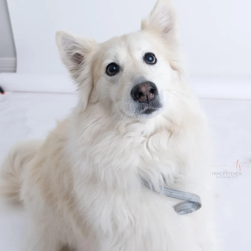 NALA snow princess thumbnail 3