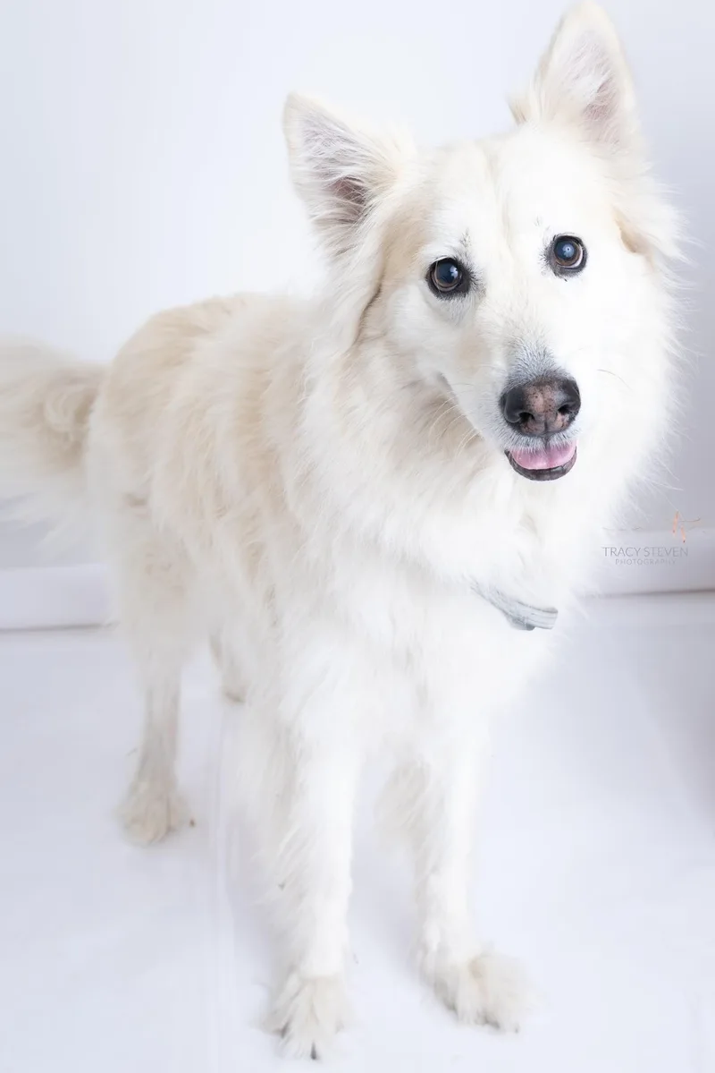 NALA snow princess thumbnail 6