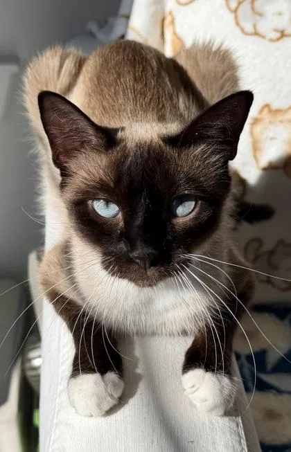 Bei Bei