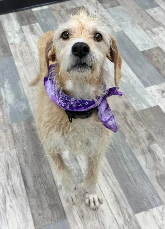 Ellie