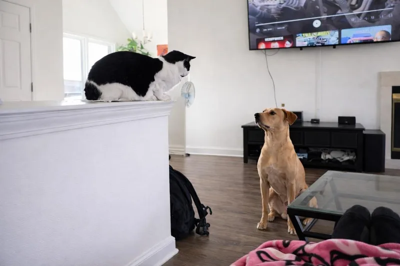 Benjamin thumbnail 2