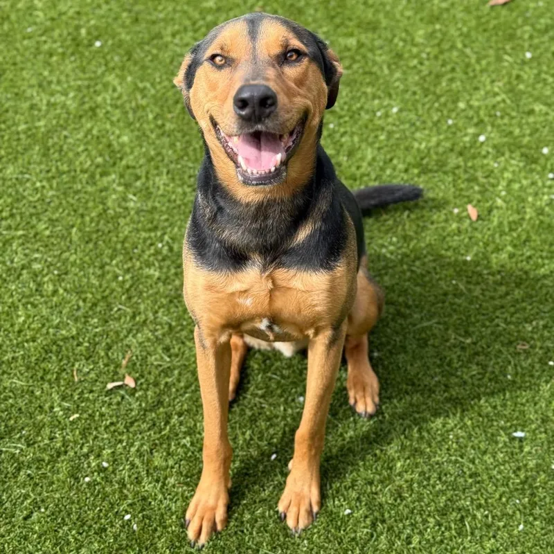 Jorgen Aka Jiariaya thumbnail 2