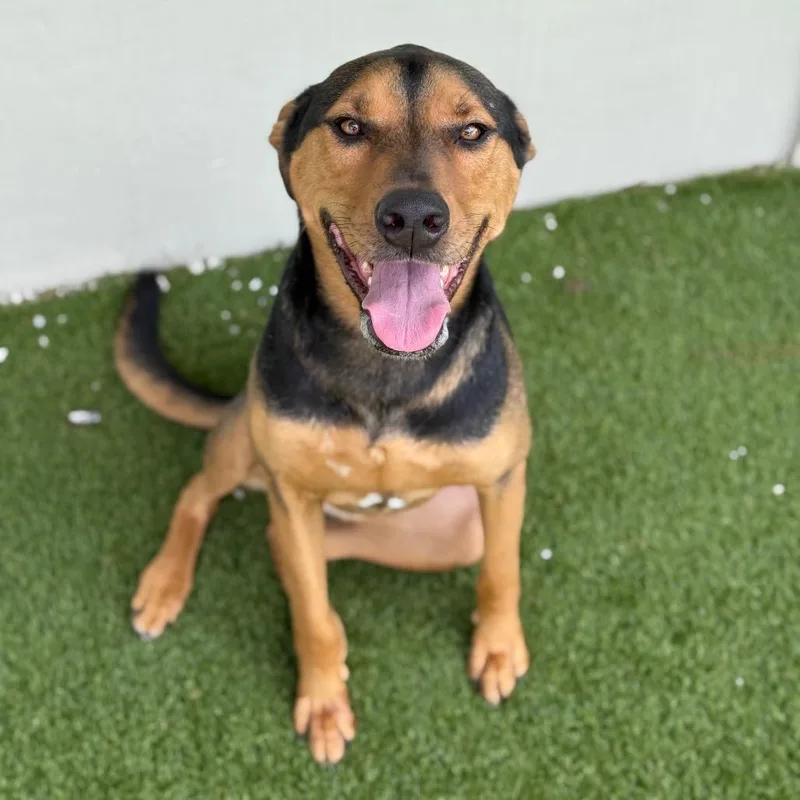 Jorgen Aka Jiariaya thumbnail 3