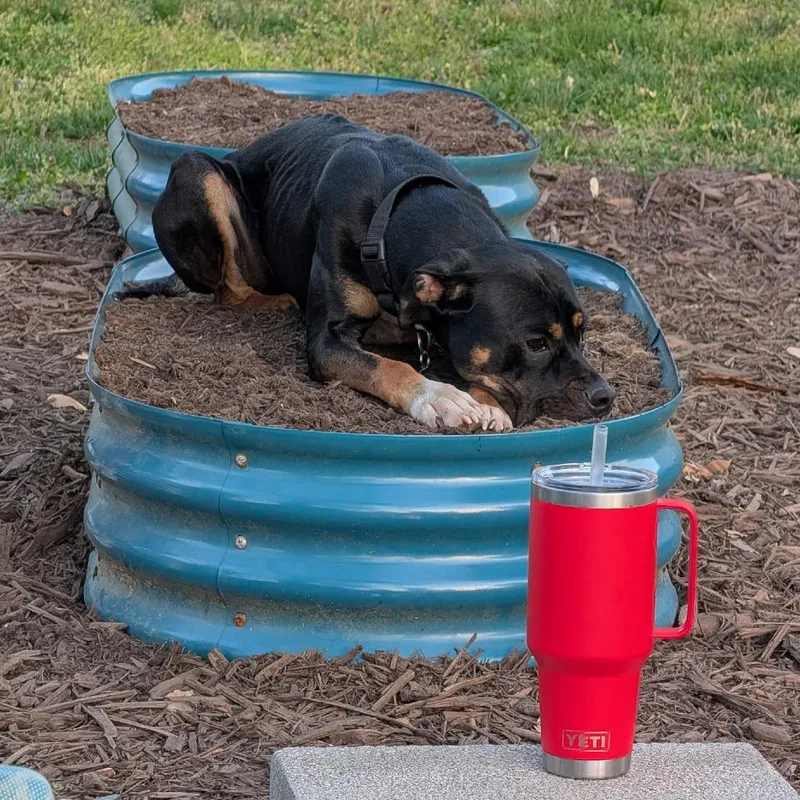 Firehawk thumbnail 3