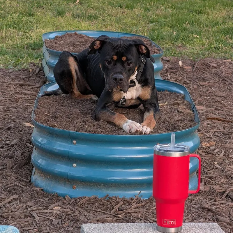 Firehawk thumbnail 5